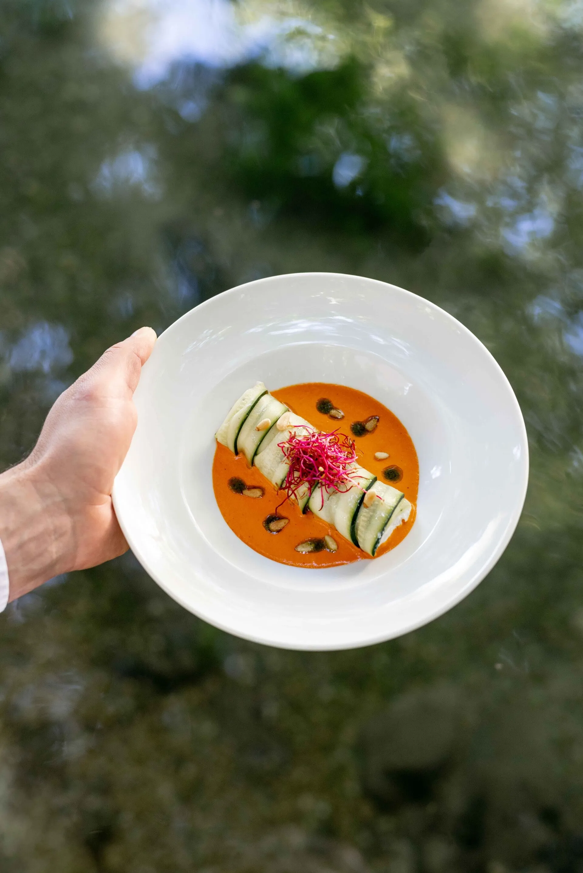 Cannelloni de courgette dressé au-dessus de la Sorgue